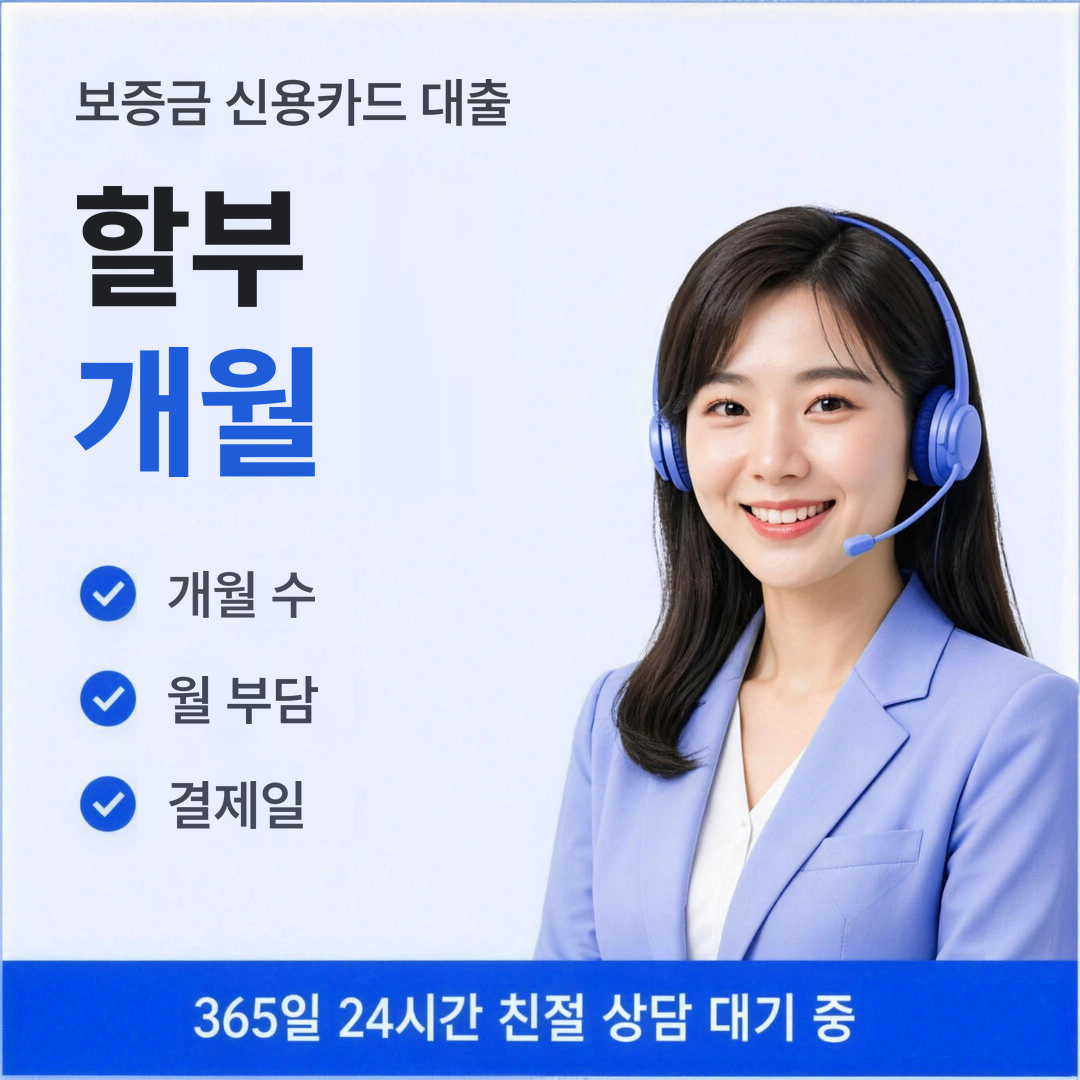 다음머니 보증금 신용카드 대출 할부 개월 안내