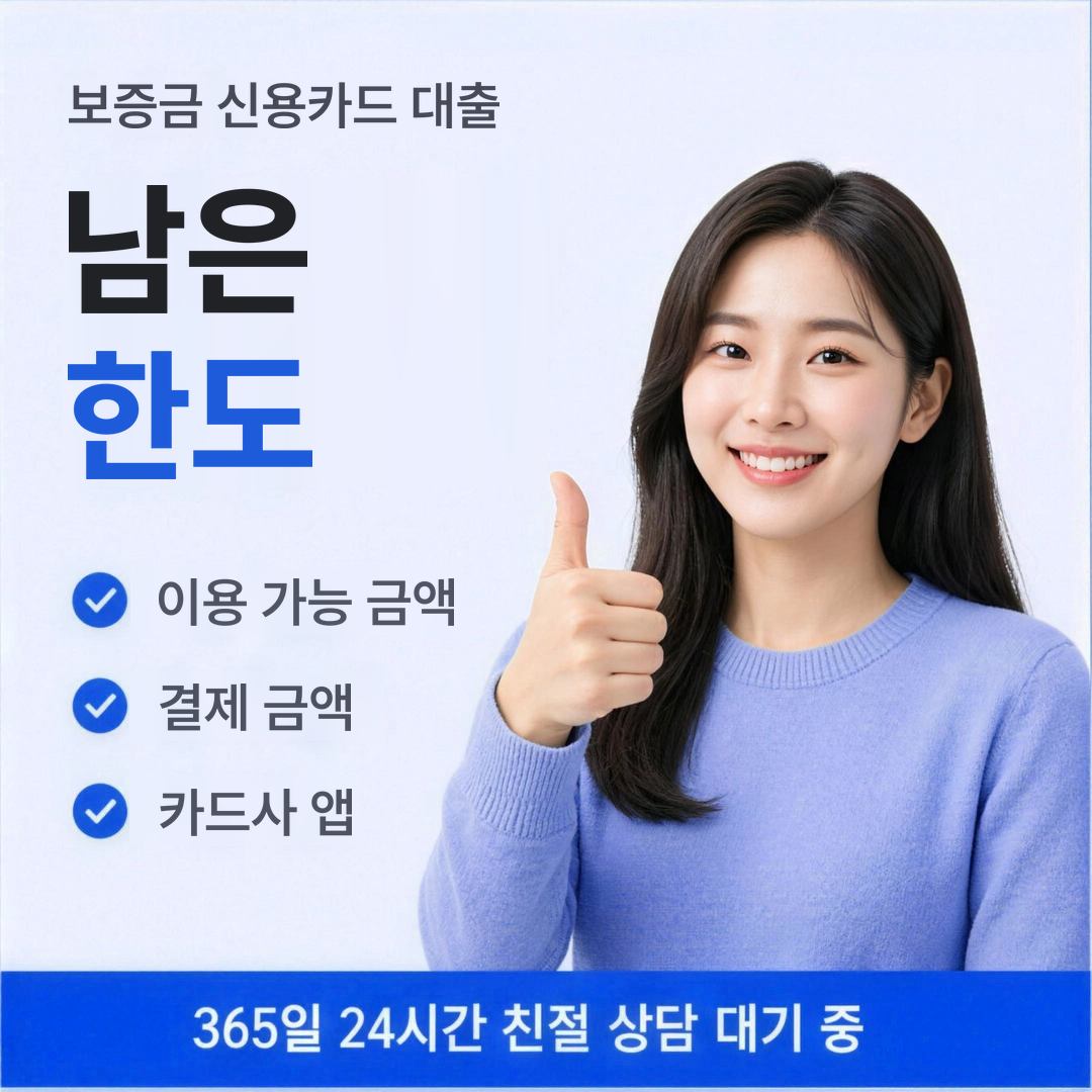 다음머니 보증금 신용카드 대출 남은 한도 안내